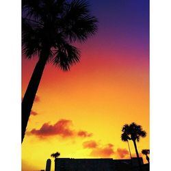 Low angle view of silhouette palm trees against sky during sunset