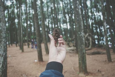 Close-up of hand holding tree trunk in forest