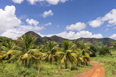 Scenic view of land against sky