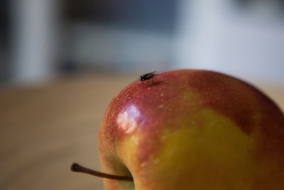 Close-up of apple on table