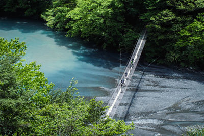 High angle view of river amidst trees in forest