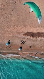 High angle view of starfish on beach