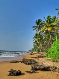 Scenic view of beach against clear blue sky