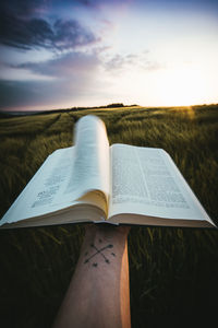 Cropped hand holding book on field against sky