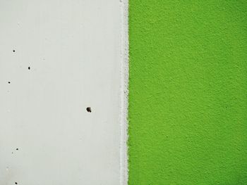 High angle view of white wall