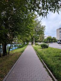 Footpath amidst trees in park against sky