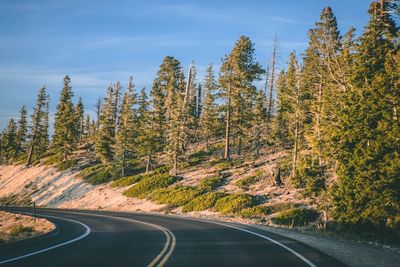 Road amidst trees against sky