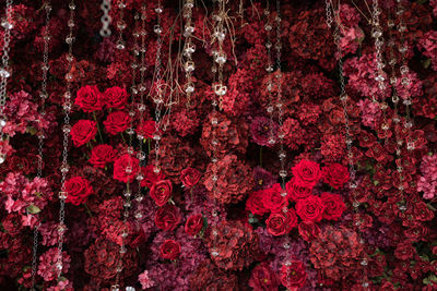 Full frame shot of red rose bouquet