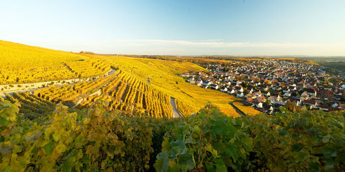 High angle view of agricultural field against sky