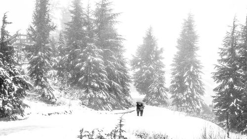 Scenic view of snow covered landscape