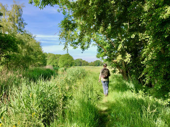 Rear view of woman walking in green landscape