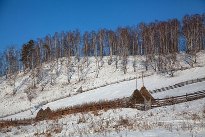 Snow covered field against sky