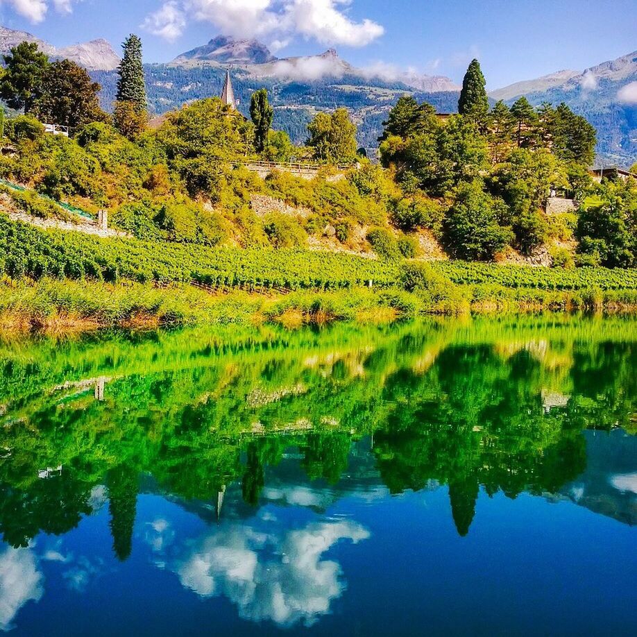 tree, tranquil scene, tranquility, beauty in nature, growth, scenics, green color, nature, sky, mountain, landscape, idyllic, day, non-urban scene, cloud - sky, no people, plant, outdoors, green, blue