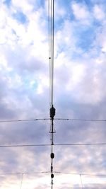 Bird on power lines against sky