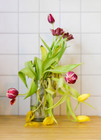 Close-up of tulips in vase on table