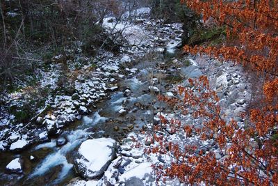 High angle view of stream amidst trees in forest