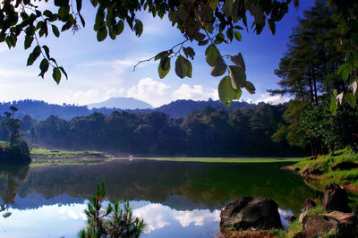 Scenic view of lake by trees against sky