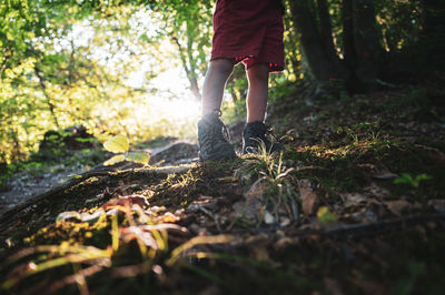 Low section man standing in forest