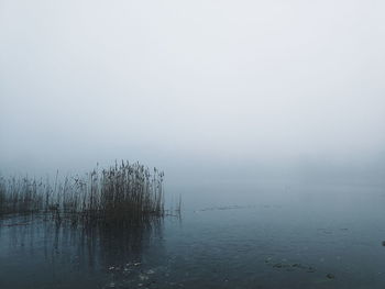 Scenic view of lake against sky during winter