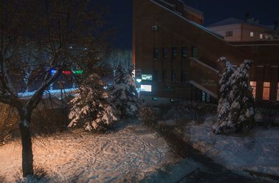 Illuminated christmas tree in city during winter