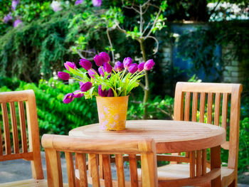 Close-up of potted plant on table in yard