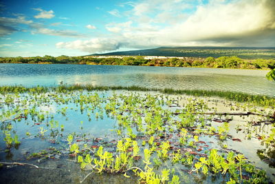 Scenic view of lake against cloudy sky