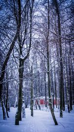 Bare trees on snow covered landscape