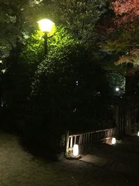 Illuminated street light on footpath at night