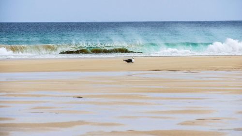 Scenic view of beach