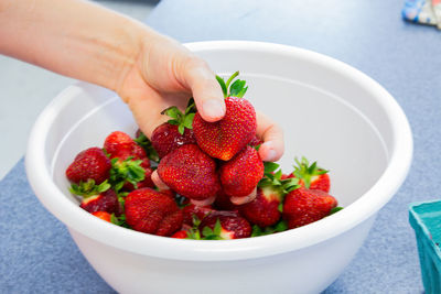 Cropped hand of woman holding strawberries