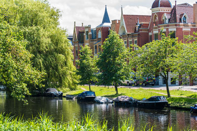 Trees by river against buildings