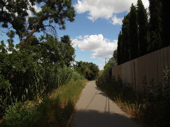 Footpath amidst trees against sky