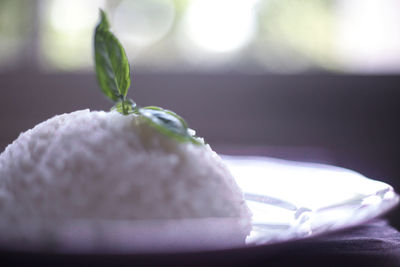 Close-up of ice cream