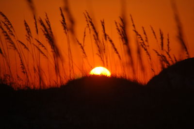 Close-up of silhouette landscape against orange sky