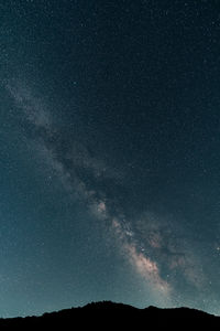 Low angle view of silhouette trees against sky at night