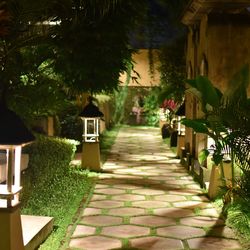 Walkway amidst trees