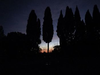 Low angle view of silhouette trees against sky at night