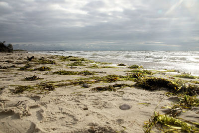 Scenic view of beach against sky