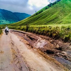 Road passing through landscape