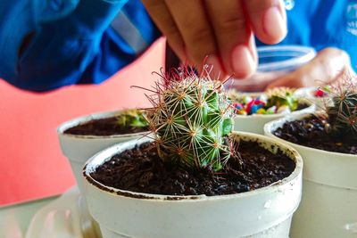 Midsection of man by potted cactus plants