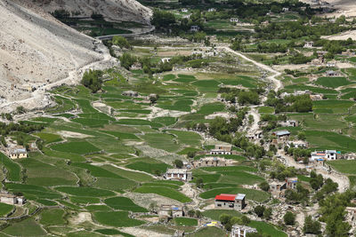 Scenic view of green landscape