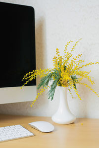 Bouquet of yellow mimosa flowers in a vase on a desktop with a computer