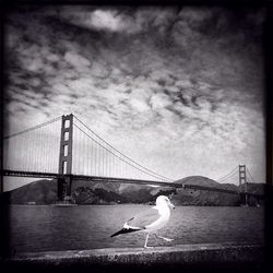 Bridge against cloudy sky