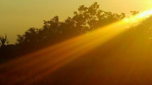 Sunlight streaming through trees during sunset