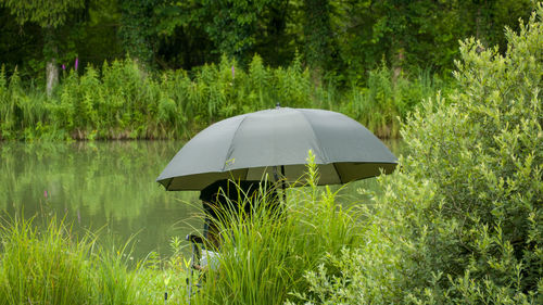 Umbrella and folding chair by the pond