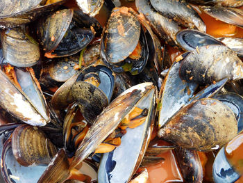 Full frame shot of mussels at market for sale