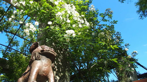 Low angle view of statue against trees