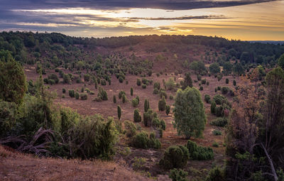 Scenic view of field against sky during sunset