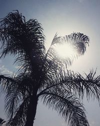 Low angle view of silhouette tree against sky during sunset