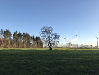 Trees on field against clear sky